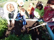 Sklízíme úrodu na zahrádce